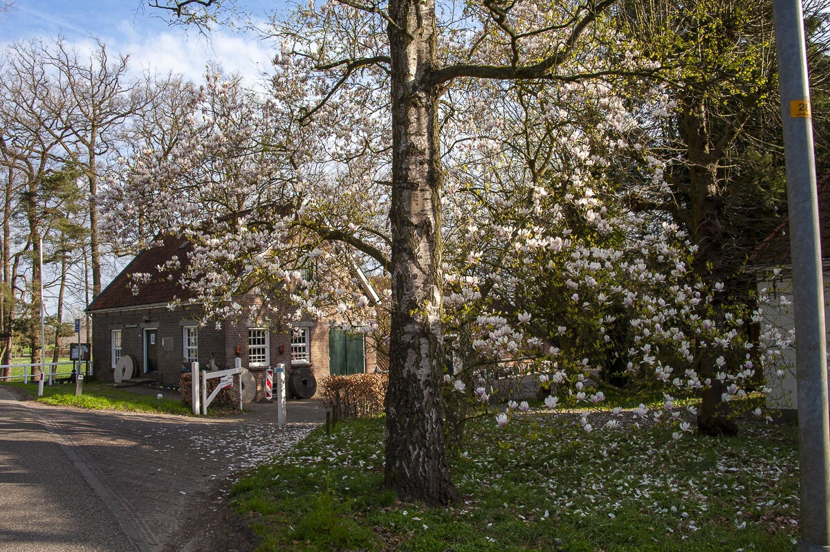 Kopermolenpad_029-4.jpg