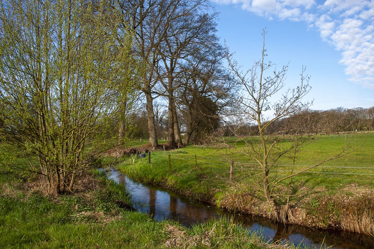 Kopermolenpad_049-3.jpg
