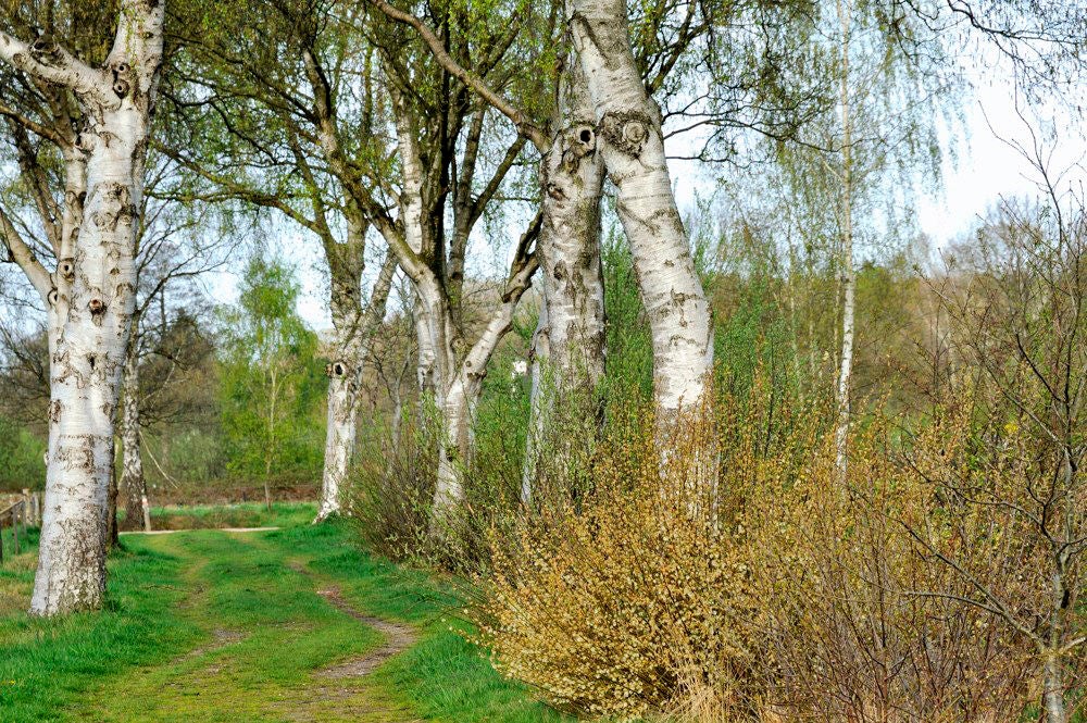 Kopermolenpad_055-2.jpg