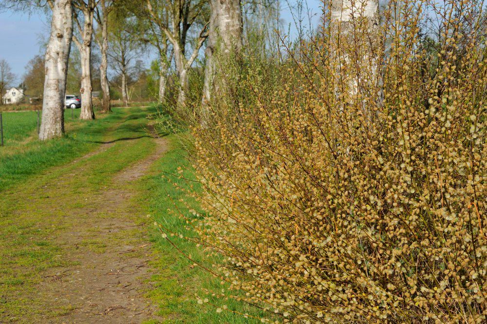 Kopermolenpad_059-2.jpg