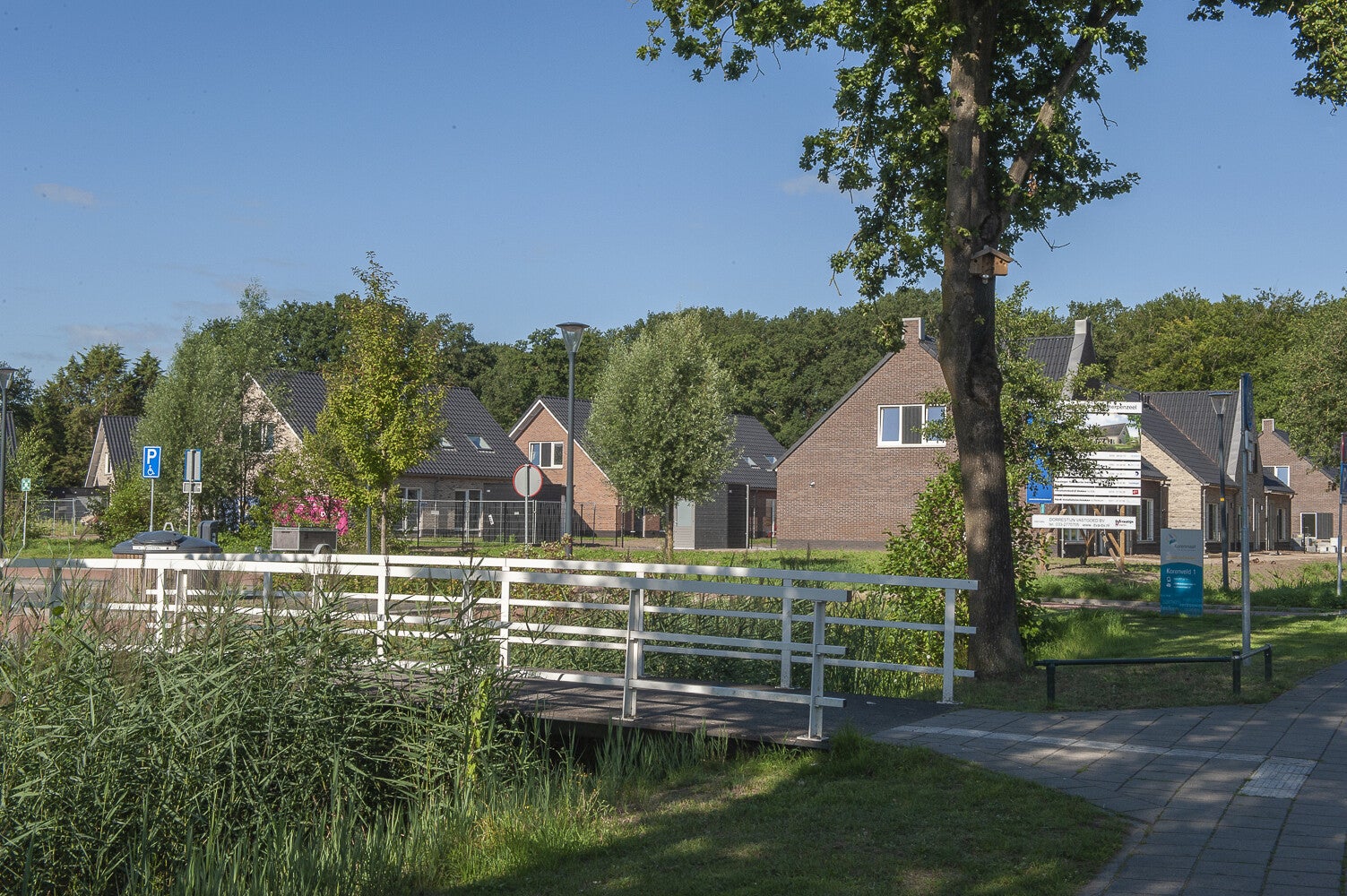 Korenveld_0993.jpg