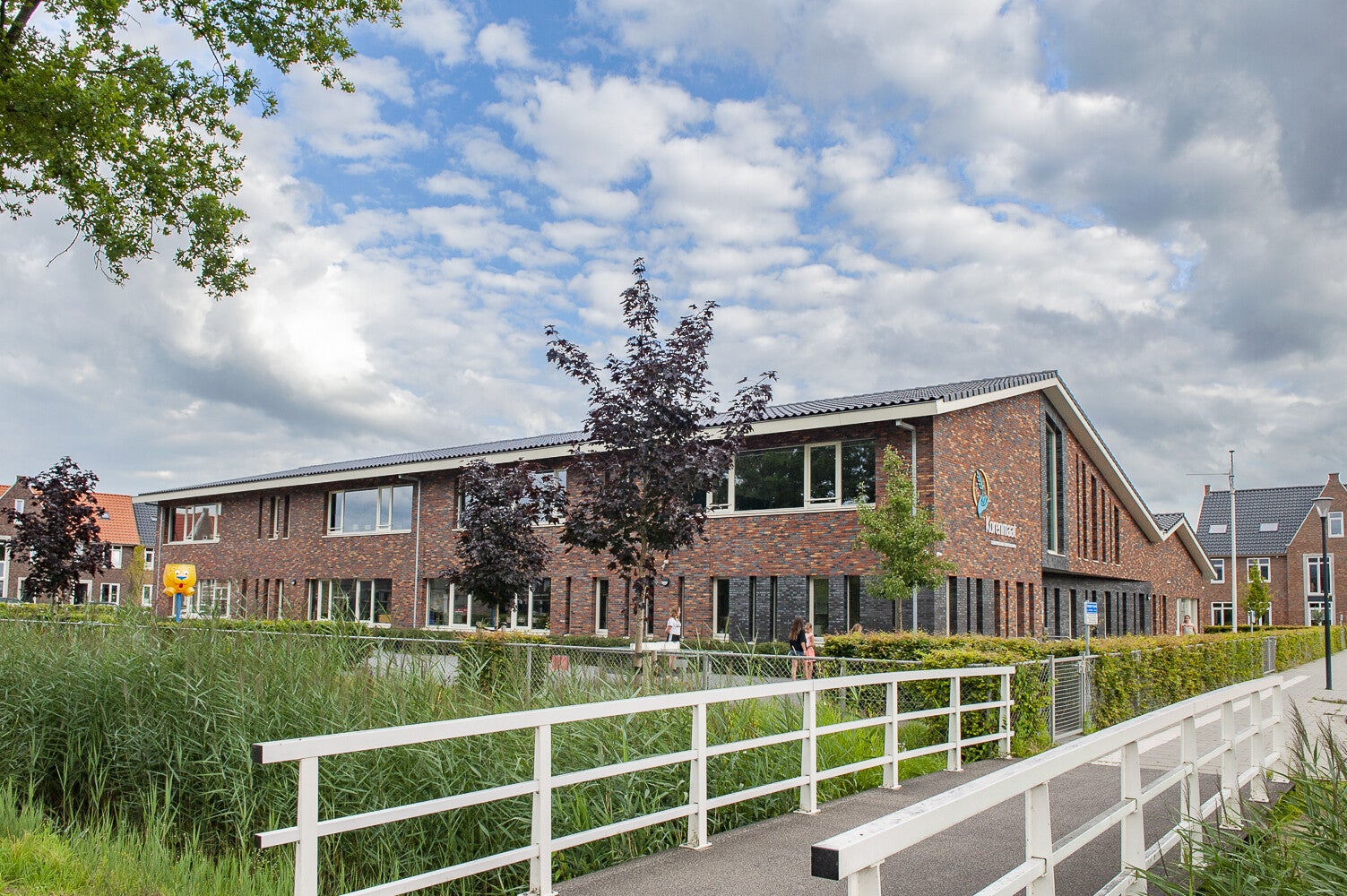 Korenveld_1177.jpg