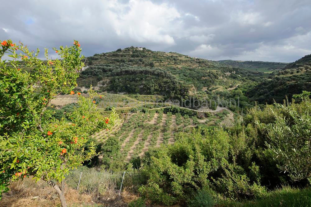 Ktima Kares .