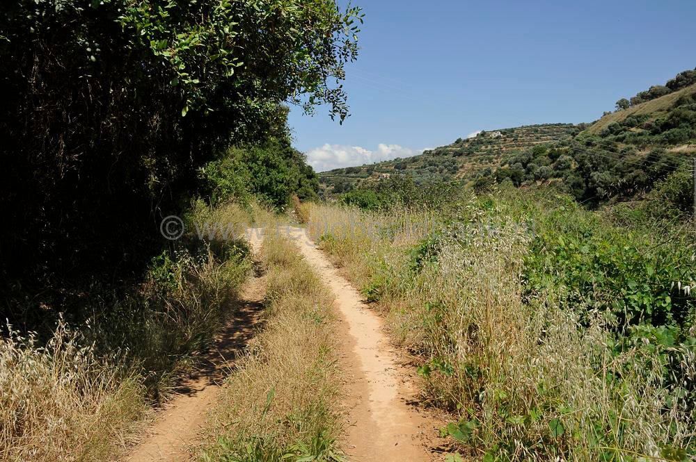 Ktima_Kares_595.jpg