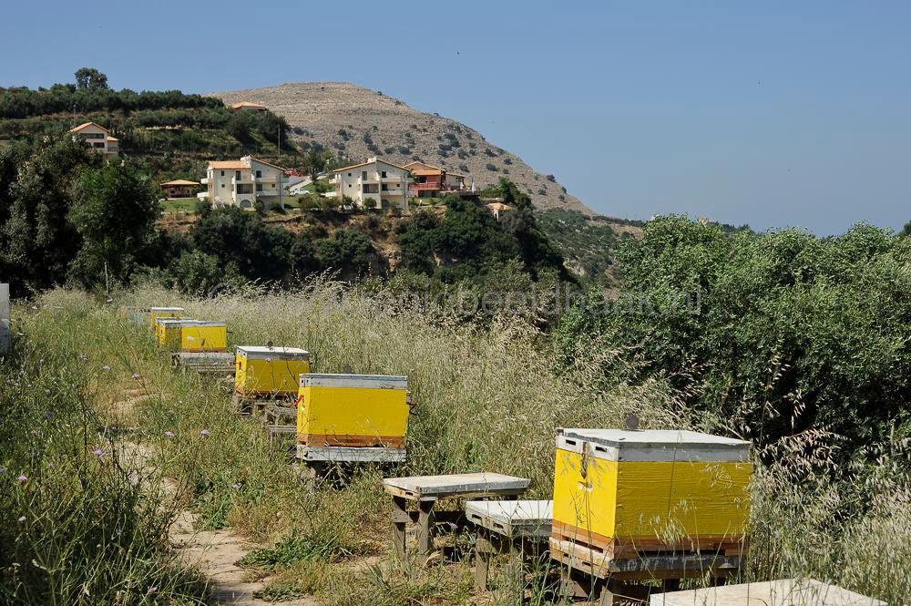 Ktima_Kares_611.jpg