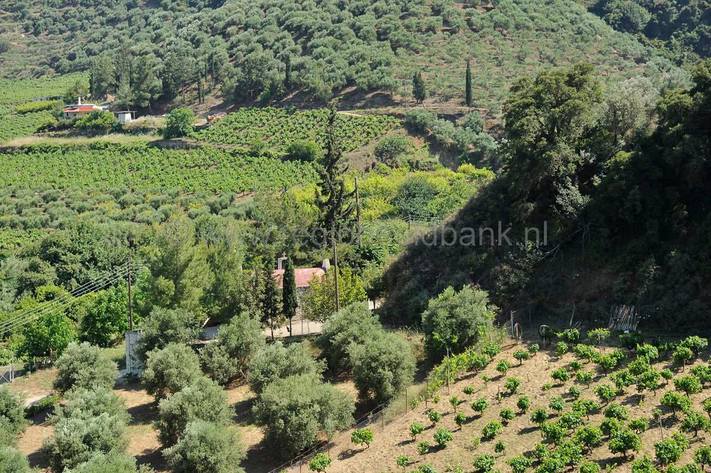 Ktima_Kares_619.jpg