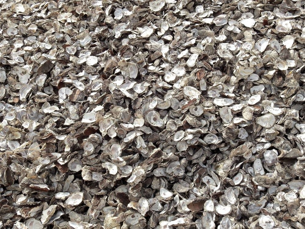 Kubuneh_Wood_2018_235.jpg