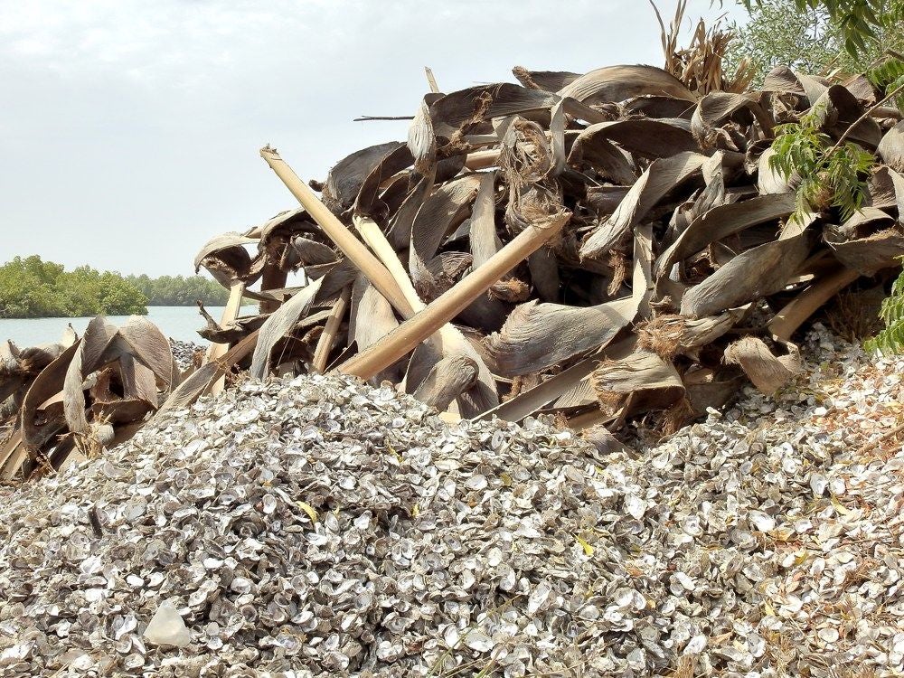 Kubuneh_Wood_2018_243.jpg