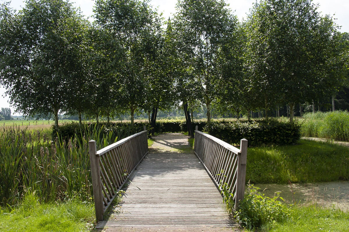Kuilenburgerpad_041-1.jpg