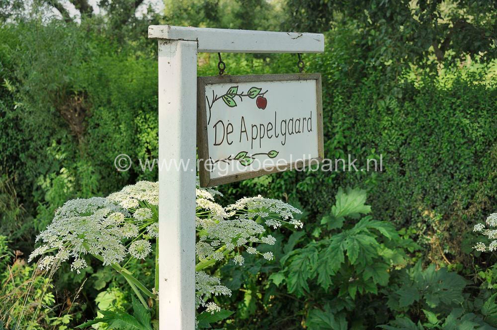Kuilenburgerpad_068.jpg