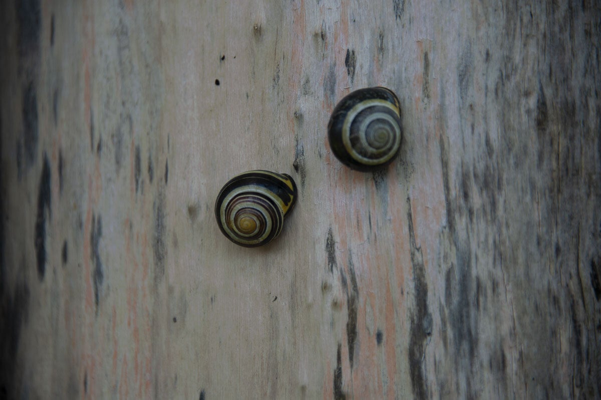 Kuilenburgerpad_071-1.jpg