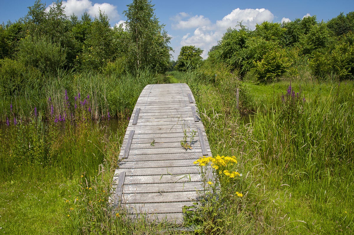 Kuilenburgerpad_117-1.jpg