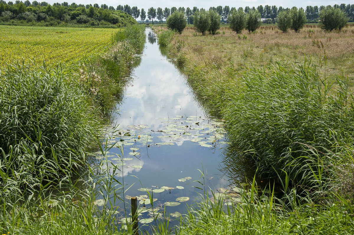 Kuilenburgerpad_126-1.jpg