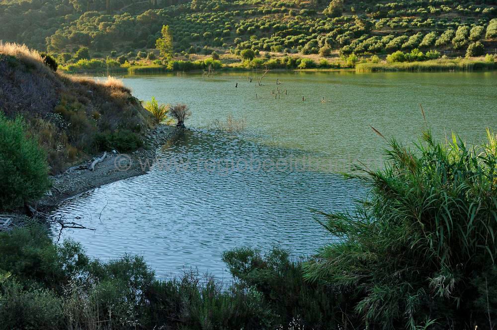 Lake_Faneromenis_020a.jpg