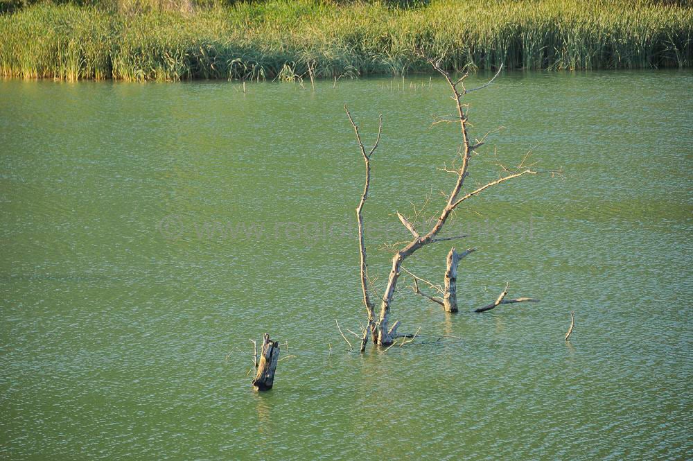 Lake_Faneromenis_022a.jpg