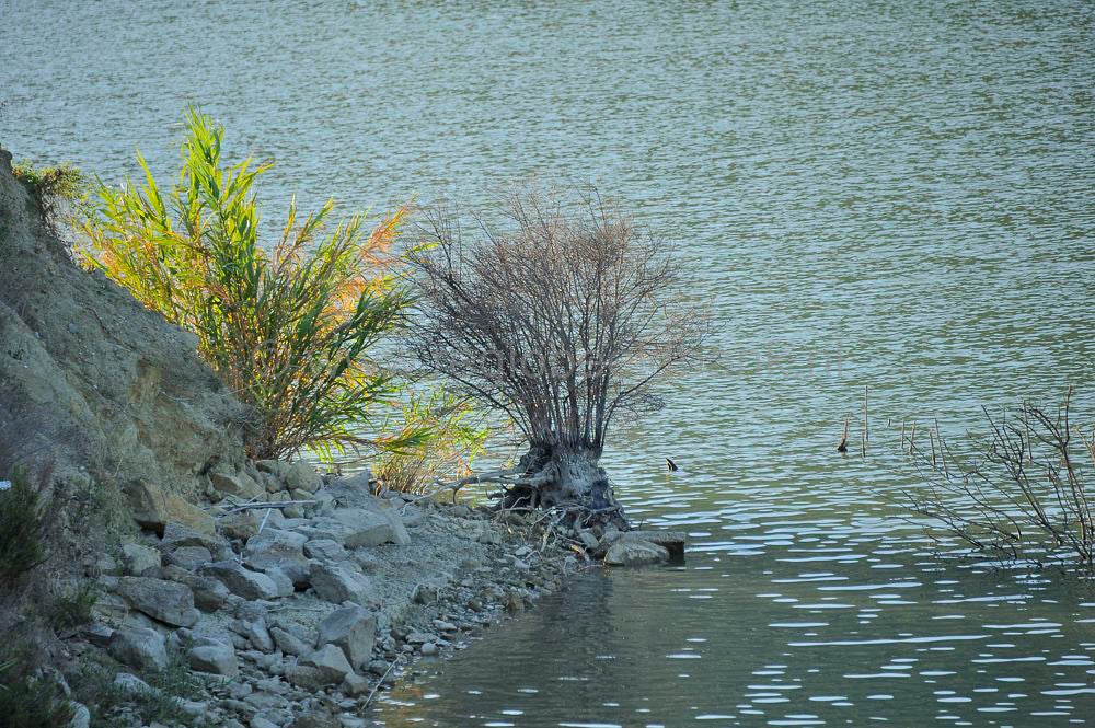 Lake_Faneromenis_031.jpg
