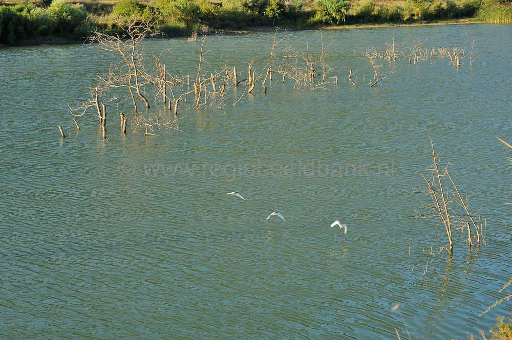 Lake_Faneromenis_035a.jpg