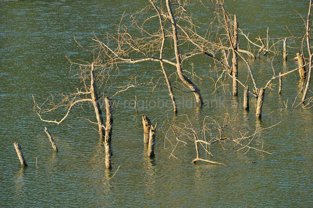 Lake_Faneromenis_038.jpg