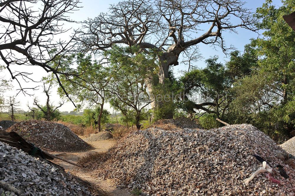 Lamin Lodge