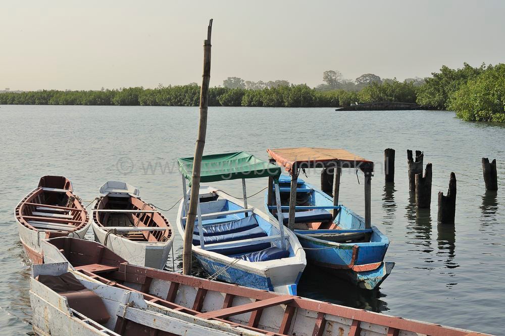 Lamin_Lodge_2016_708.jpg