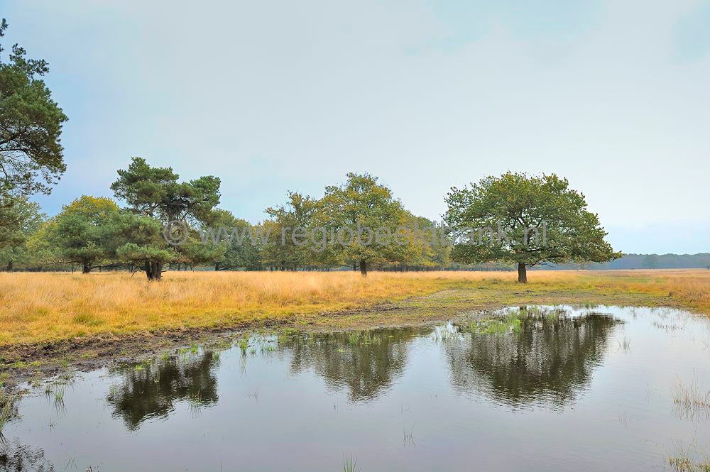 Landgoed_De_Klencke_009.jpg