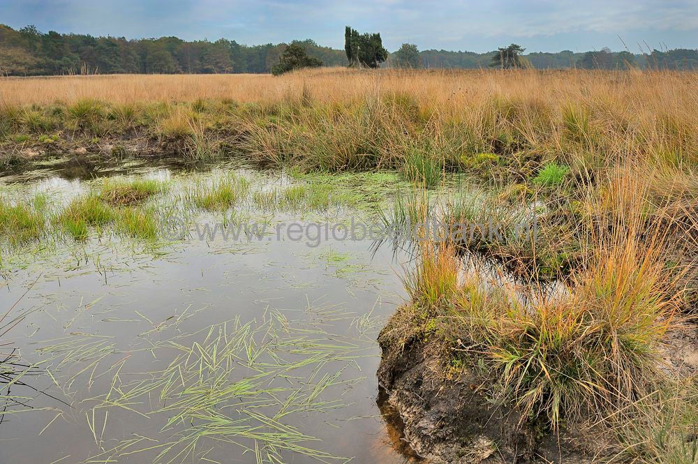 Landgoed_De_Klencke_014.jpg