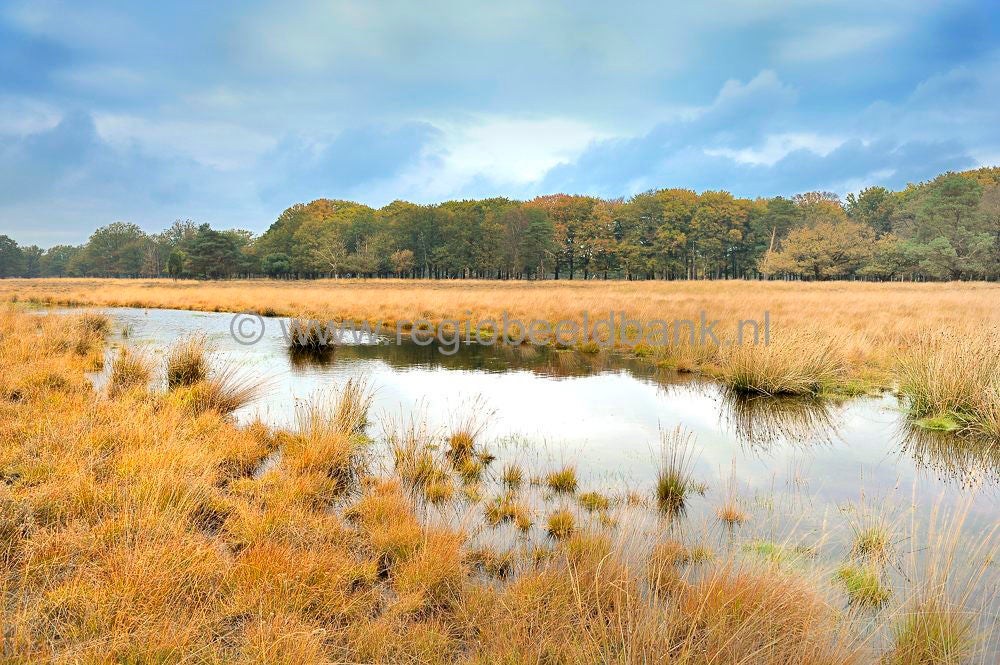 Landgoed_De_Klencke_016.jpg