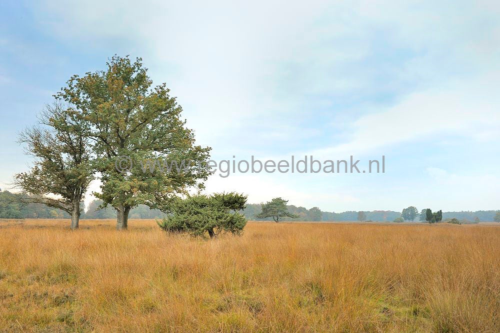 Landgoed_De_Klencke_022.jpg
