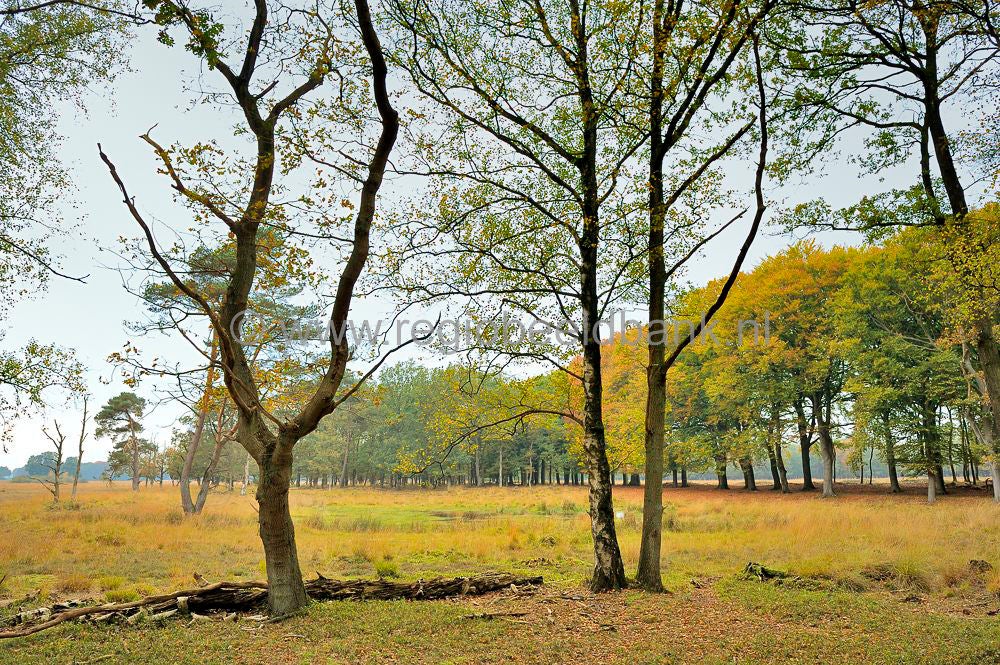 Landgoed_De_Klencke_024.jpg