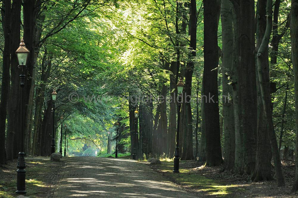 Landgoed_de_Paltz_012.jpg