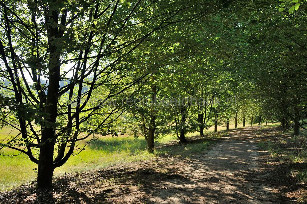 Landgoed_de_Paltz_016.jpg