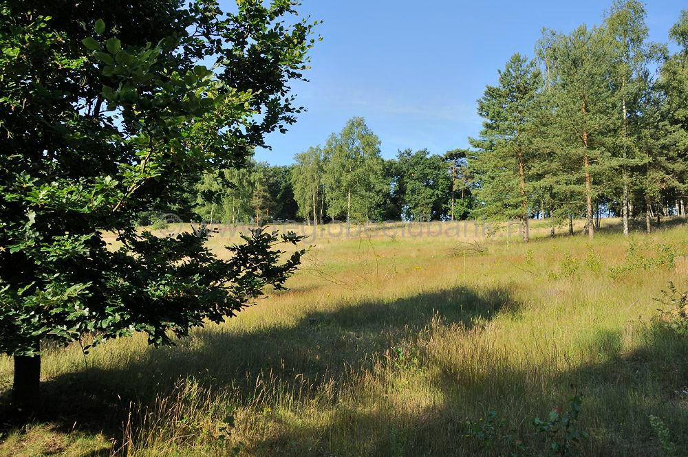 Landgoed_de_Paltz_018.jpg