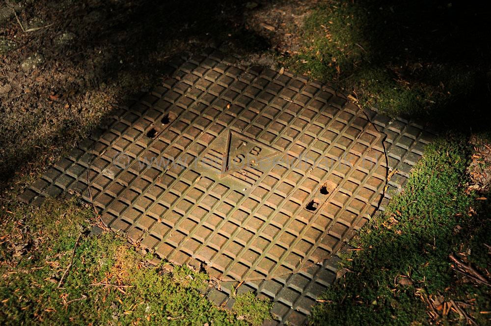 Landgoed_de_Paltz_026.jpg