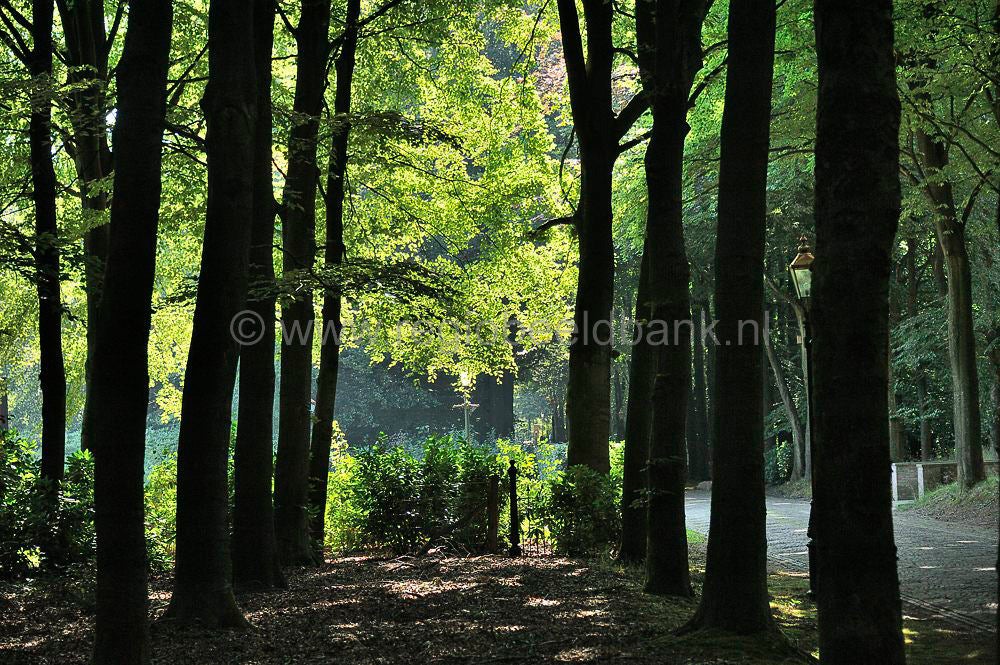 Landgoed_de_Paltz_028.jpg