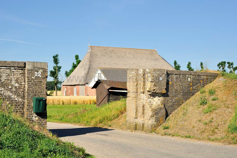 Louwersoog