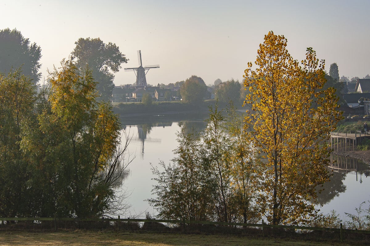 Lauwsepad Beneden Leeuwen 10 07 2015