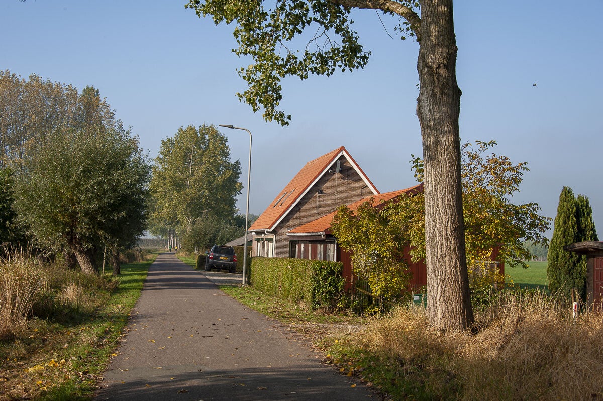 Lauwsepad_038-1.jpg