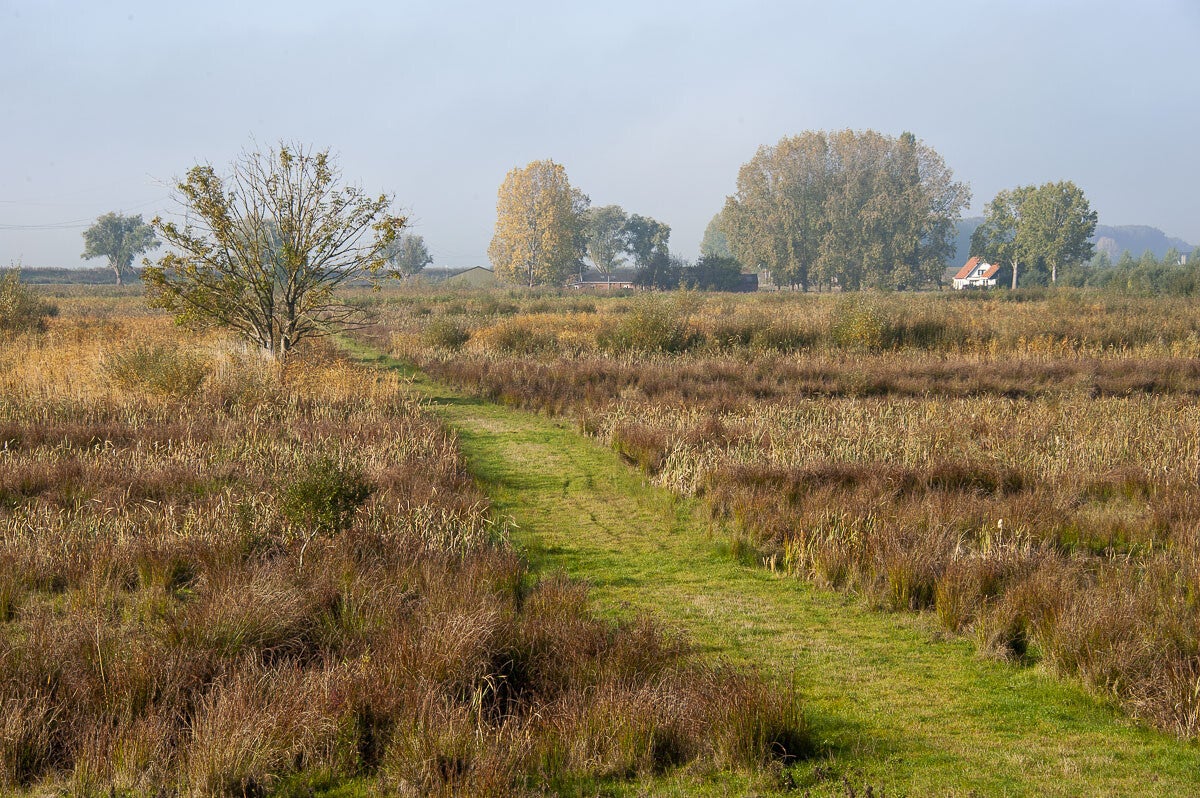 Lauwsepad_042-1.jpg