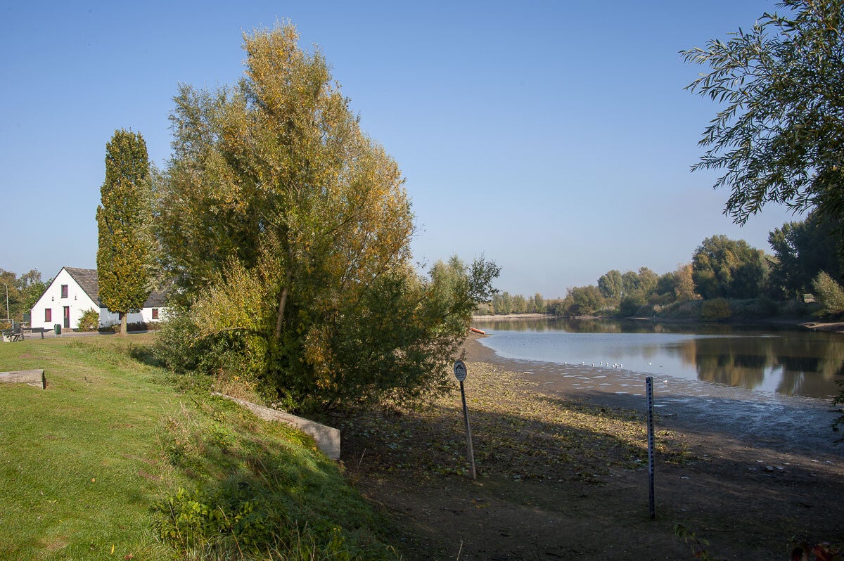 Lauwsepad_070-1.jpg