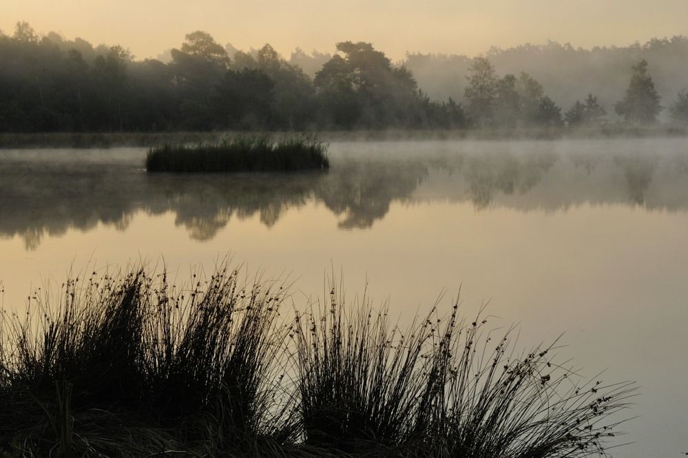 L eersumse Plassen 2018