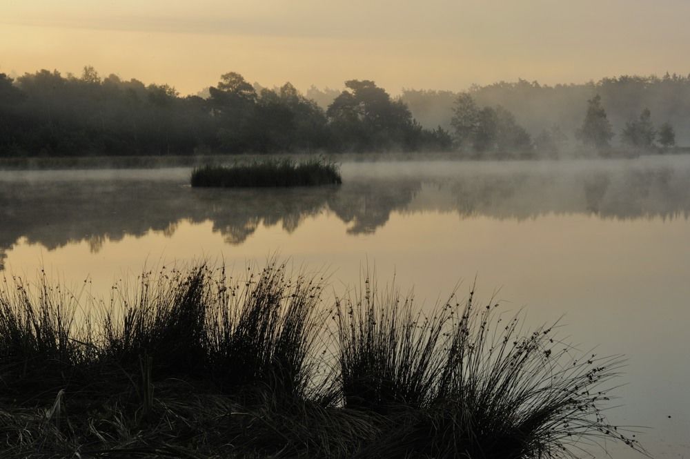 Leersumseplas_Zomer_2018_007.jpg