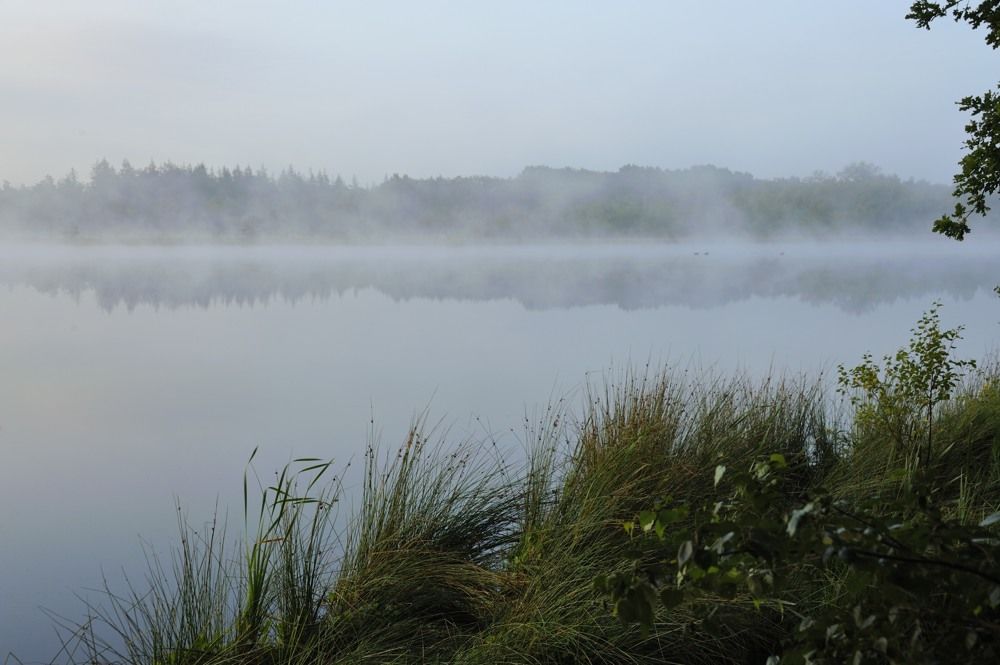 Leersumseplas_Zomer_2018_008.jpg
