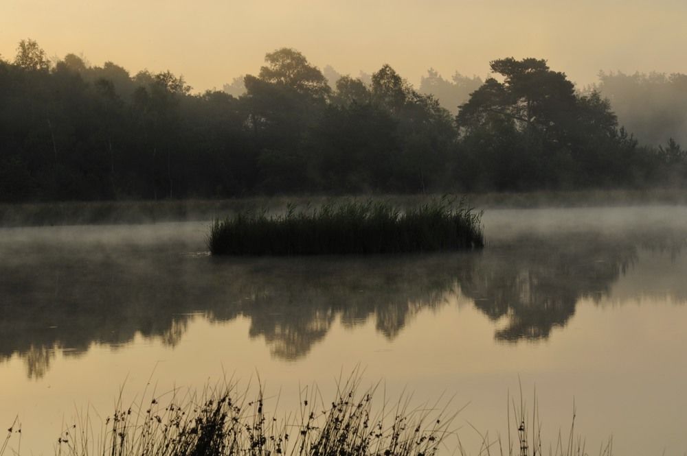 Leersumseplas_Zomer_2018_009.jpg
