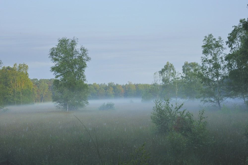 Leersumseplas_Zomer_2018_012.jpg
