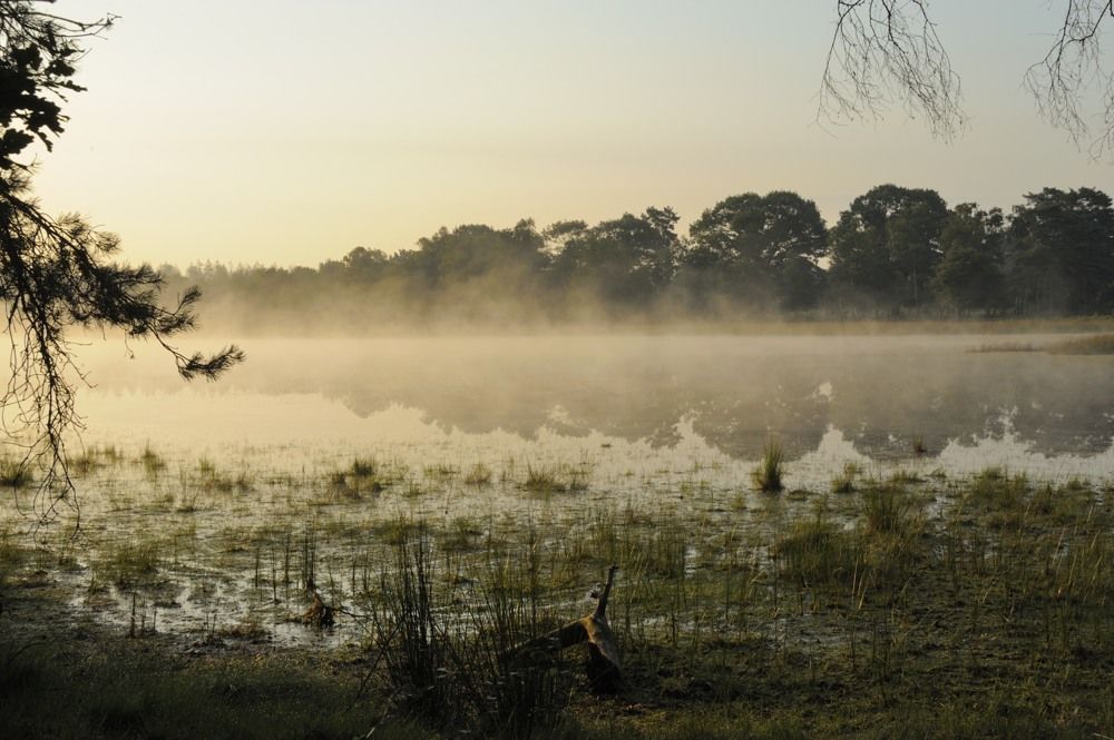 Leersumseplas_Zomer_2018_013.jpg