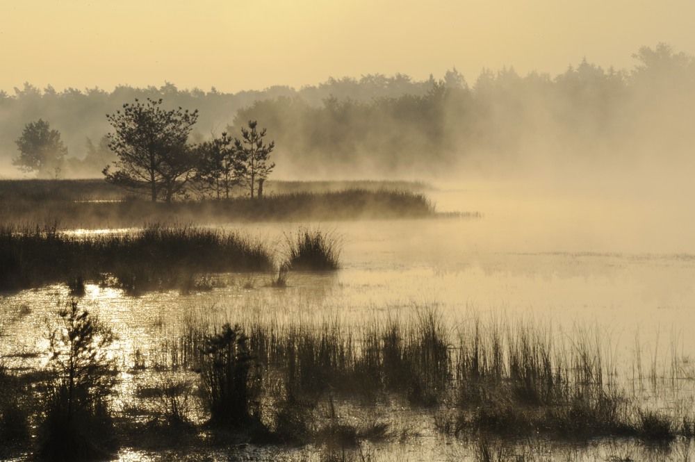 Leersumseplas_Zomer_2018_014-1.jpg