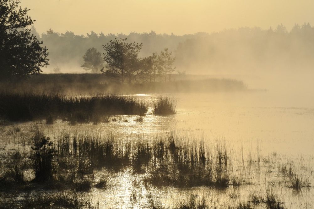 Leersumseplas_Zomer_2018_015.jpg
