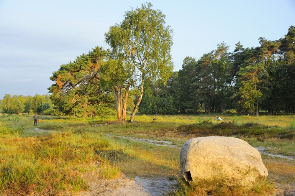 Leersumseplas_Zomer_2018_021.jpg