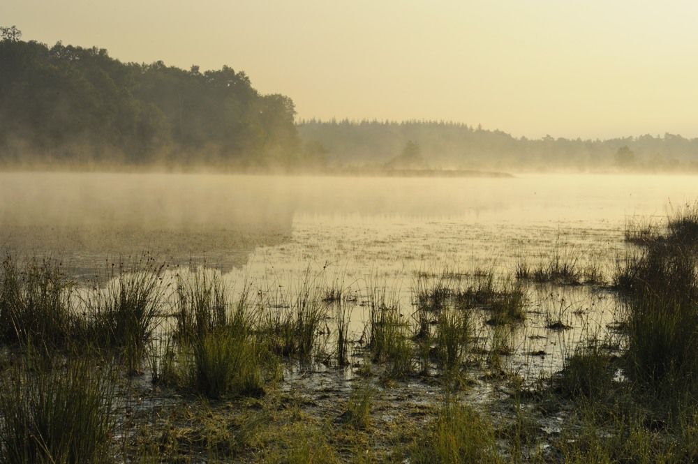 Leersumseplas_Zomer_2018_024.jpg