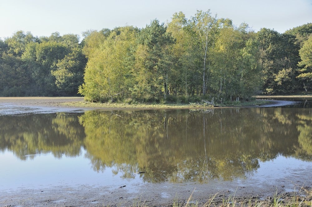 Leersumseplassen_168.jpg